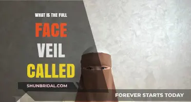 Understanding the Full Face Veil: Names, Origins, and Cultural Significance