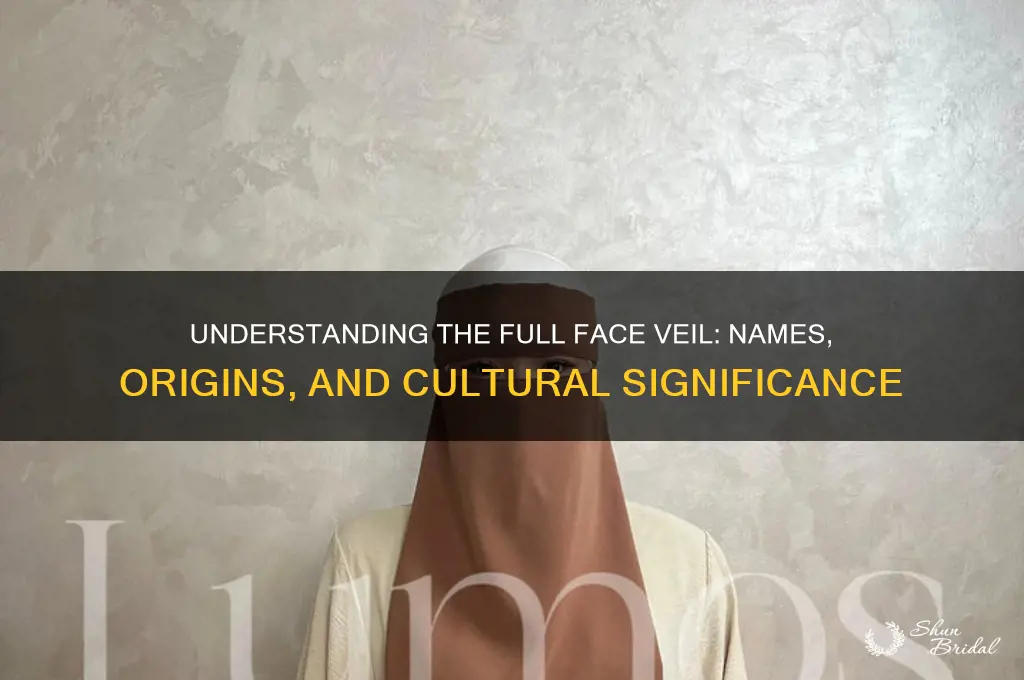 what is the full face veil called