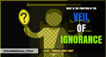Understanding the Veil of Ignorance: Its Role in Fair Decision-Making