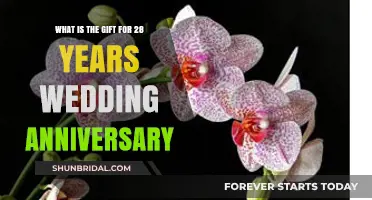 Celebrating 28 Years: The Perfect Gift for Your Wedding Anniversary