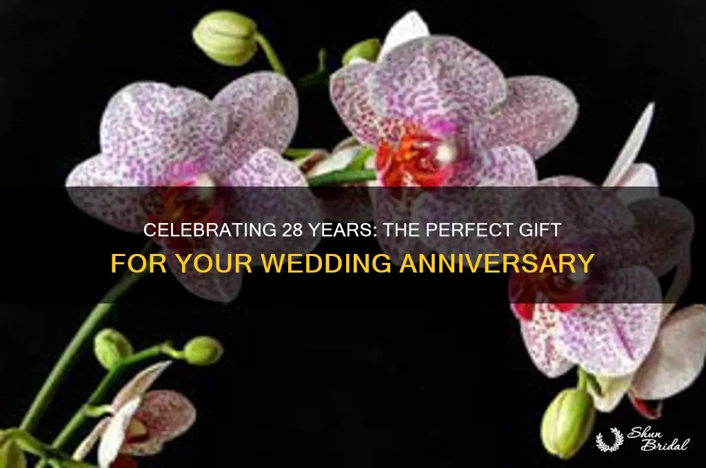 what is the gift for 28 years wedding anniversary