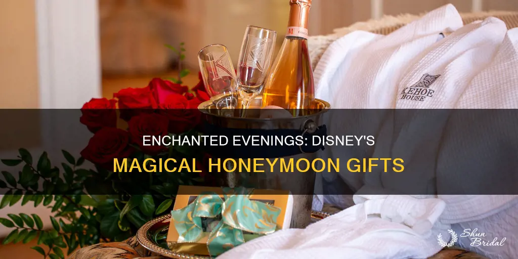 what is the gift for disney