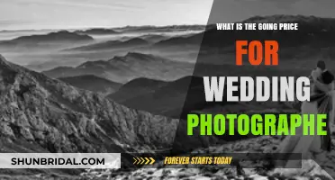 Understanding Wedding Photographer Costs: What’s the Current Market Price?