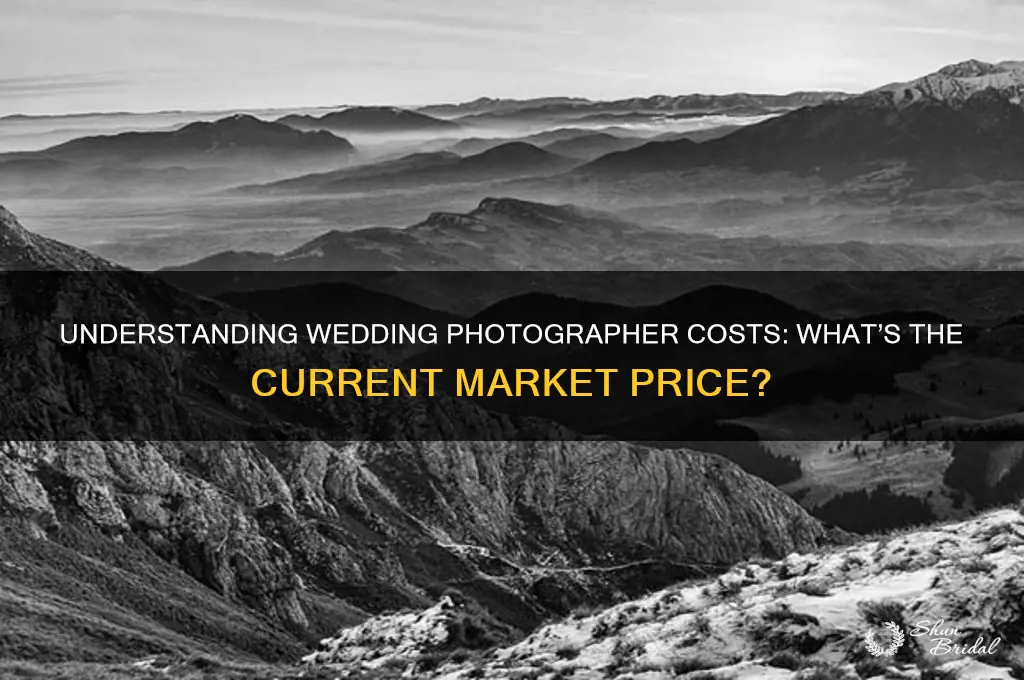 what is the going price for wedding photographers