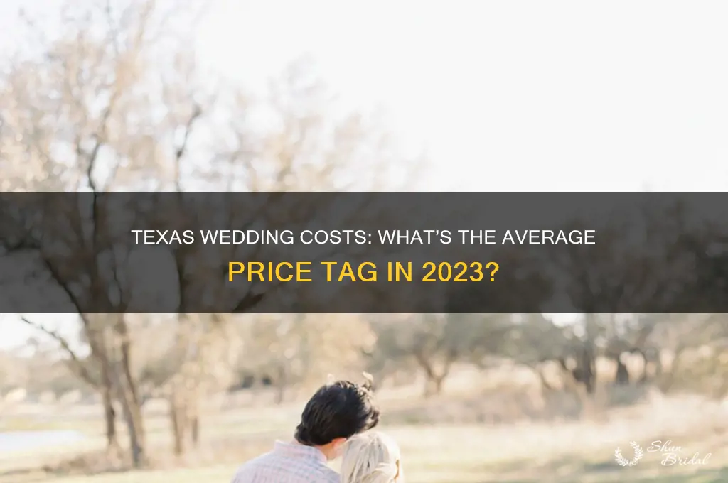 what is the going rate for a wedding in Texas
