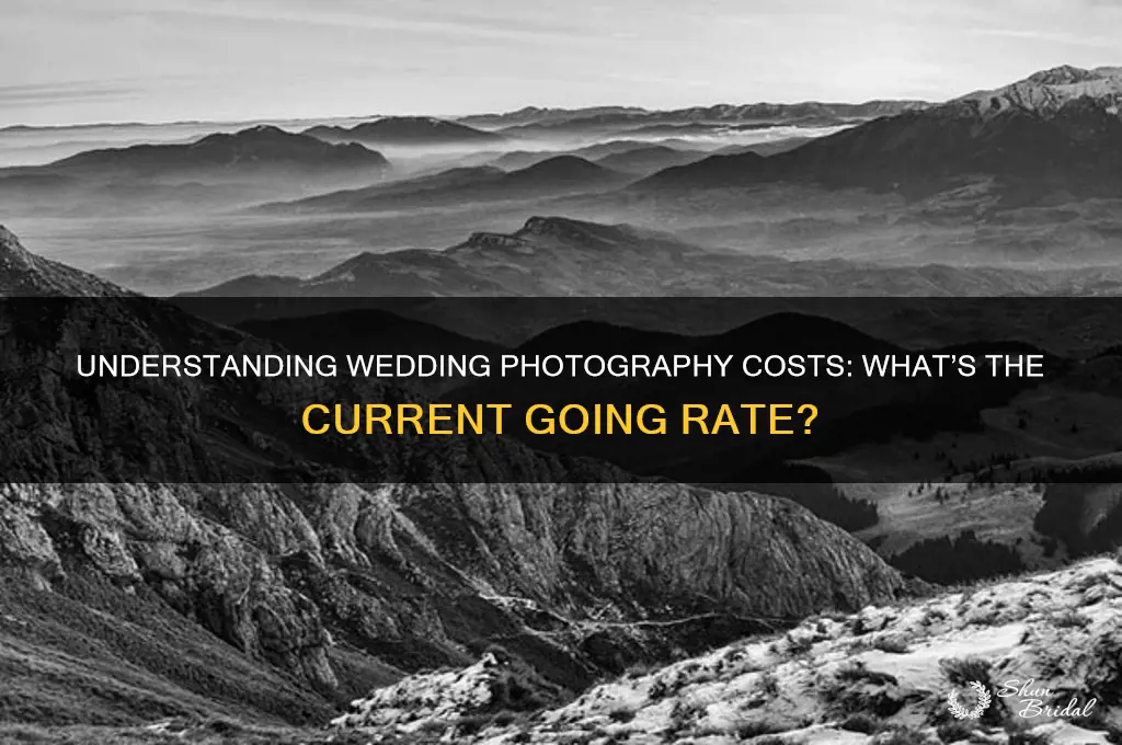 what is the going rate for a wedding photographer