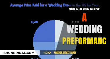 Current Wedding Performance Rates: What to Expect and Budget For