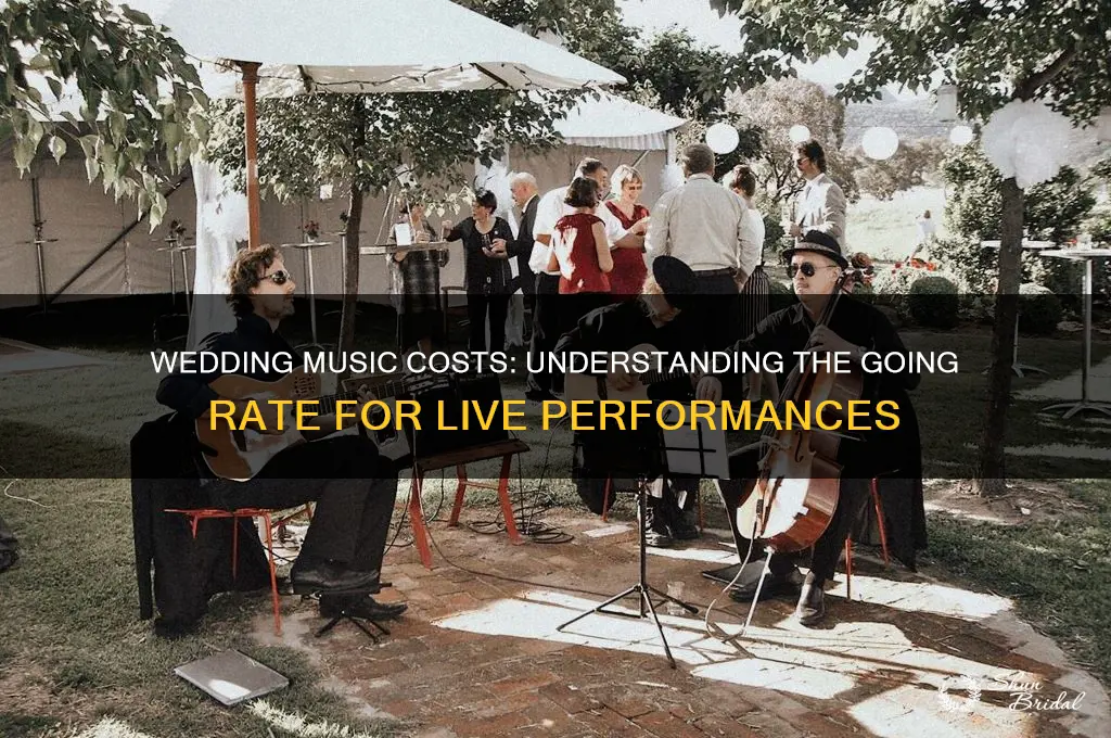 what is the going rate for playing for a wedding