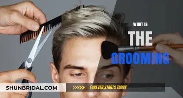 Understanding Grooming: A Comprehensive Guide to Personal Care
