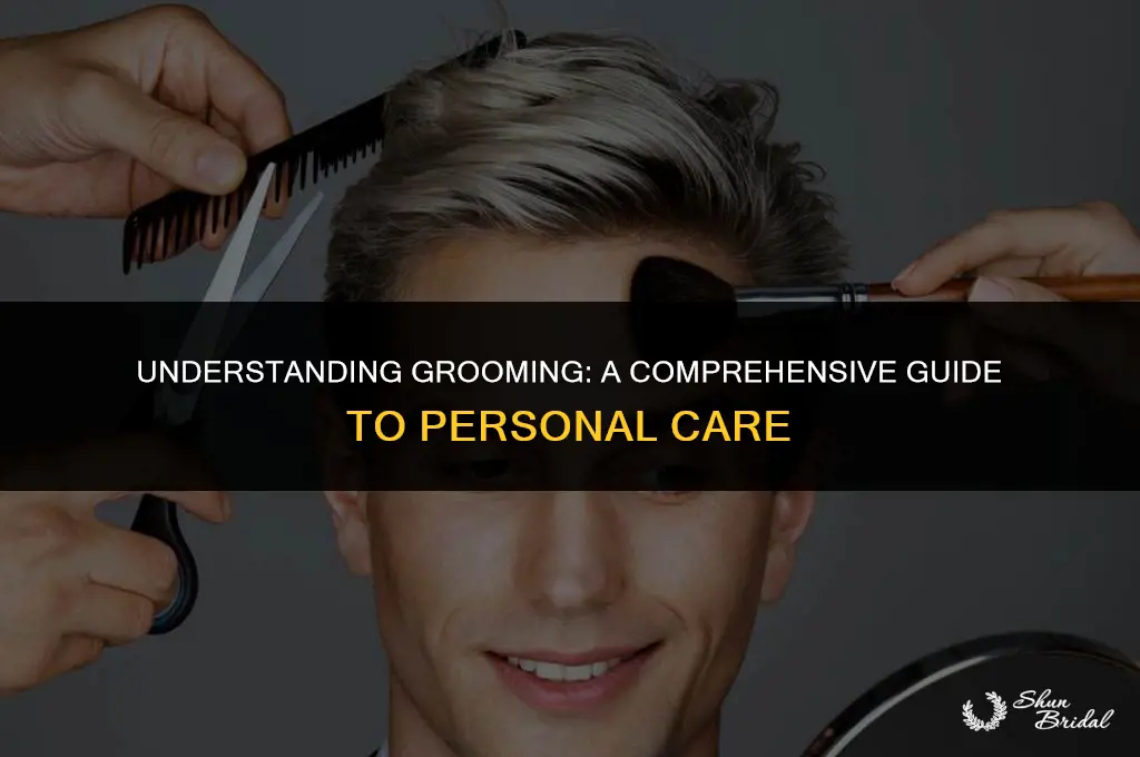 what is the grooming