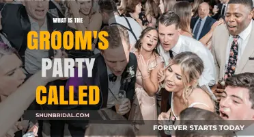 Groom's Party Names: Unveiling the Traditional and Modern Celebrations