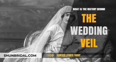 Unveiling Traditions: The Ancient Origins of the Wedding Veil