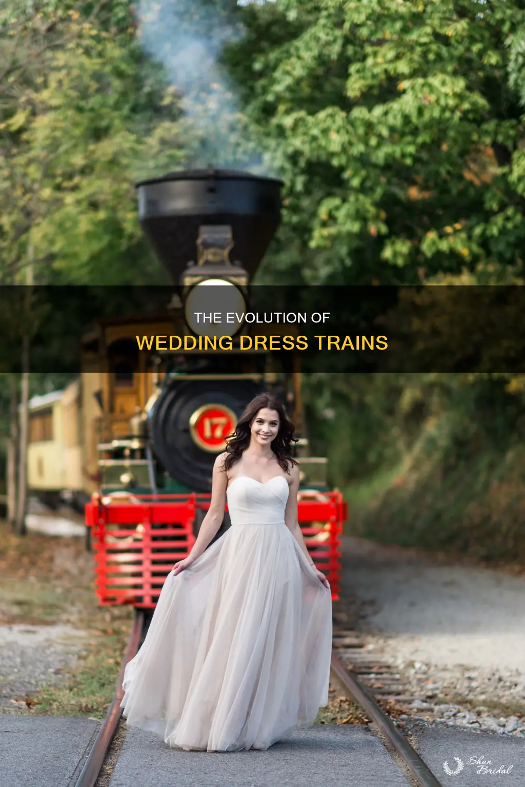 what is the history of a wedding dress train