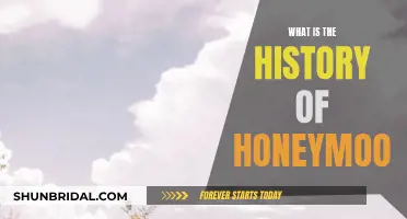 Honeymoon's Historical Journey: From Ancient Traditions to Modern Getaways