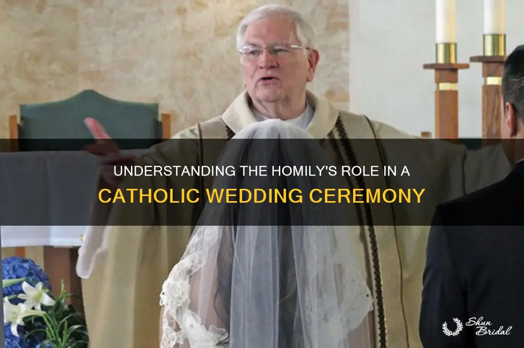 what is the homily in a catholic wedding ceremony