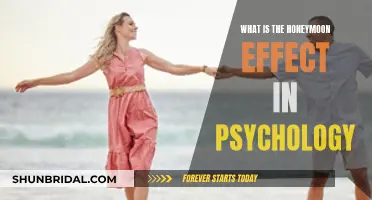 Honeymoon Effect: Understanding the Initial Attraction in Psychology