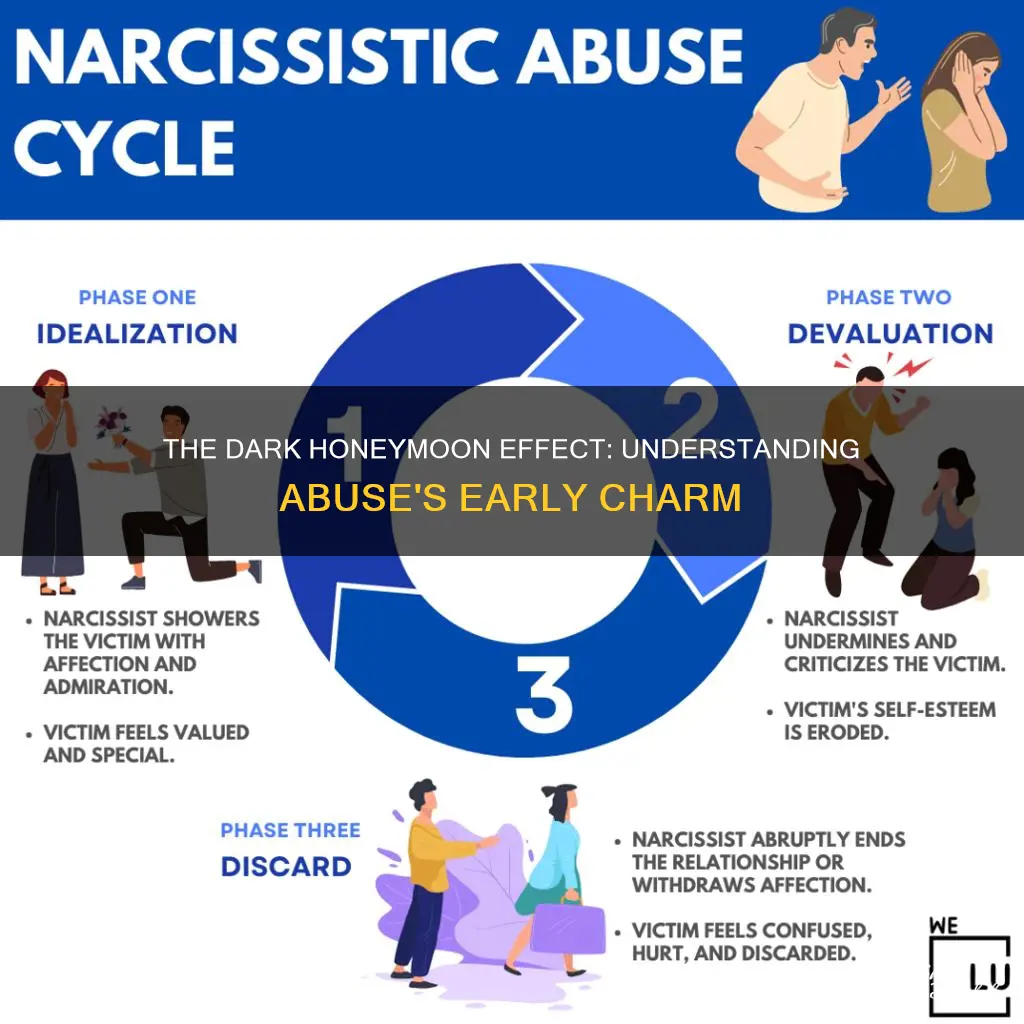 what is the honeymoon effect of abuse