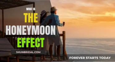 Honeymoon Effect: Understanding the Initial Love Buzz