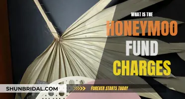 Honeymoon Fund Fees: Unlocking the Mystery