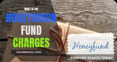Honeymoon Fund Charges: What Couples Need to Know