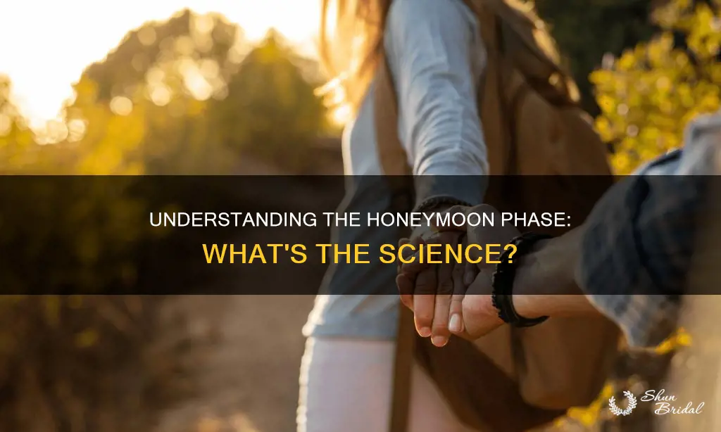 what is the honeymoon ohase