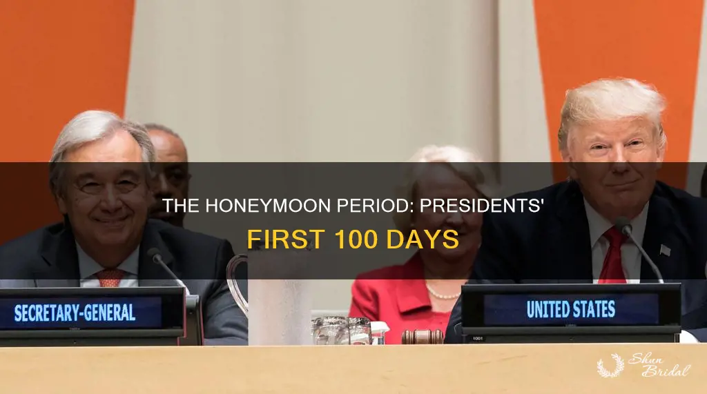 what is the honeymoon period for presidents course hero