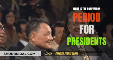 Understanding Presidential Honeymoon Periods: Power and Influence