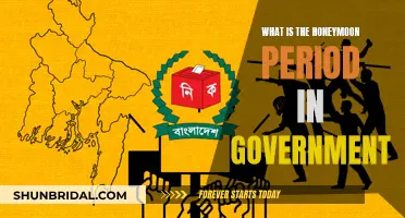 Understanding the Honeymoon Period in Government: A Primer