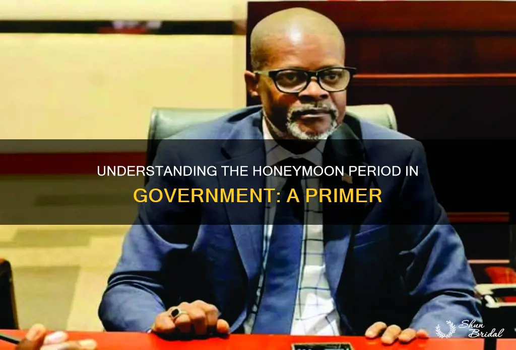 what is the honeymoon period in government