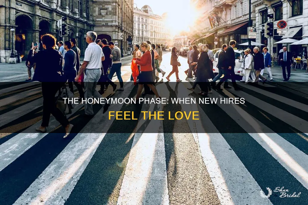 what is the honeymoon phase in a job