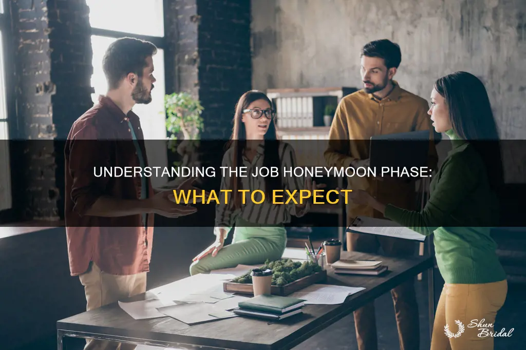 what is the honeymoon phase in a job