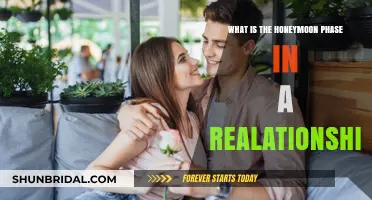 Understanding the Honeymoon Phase: Bliss, Intensity, and Relationship Dynamics