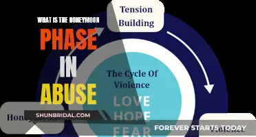 Unveiling the Honeymoon Phase: Understanding Emotional Abuse