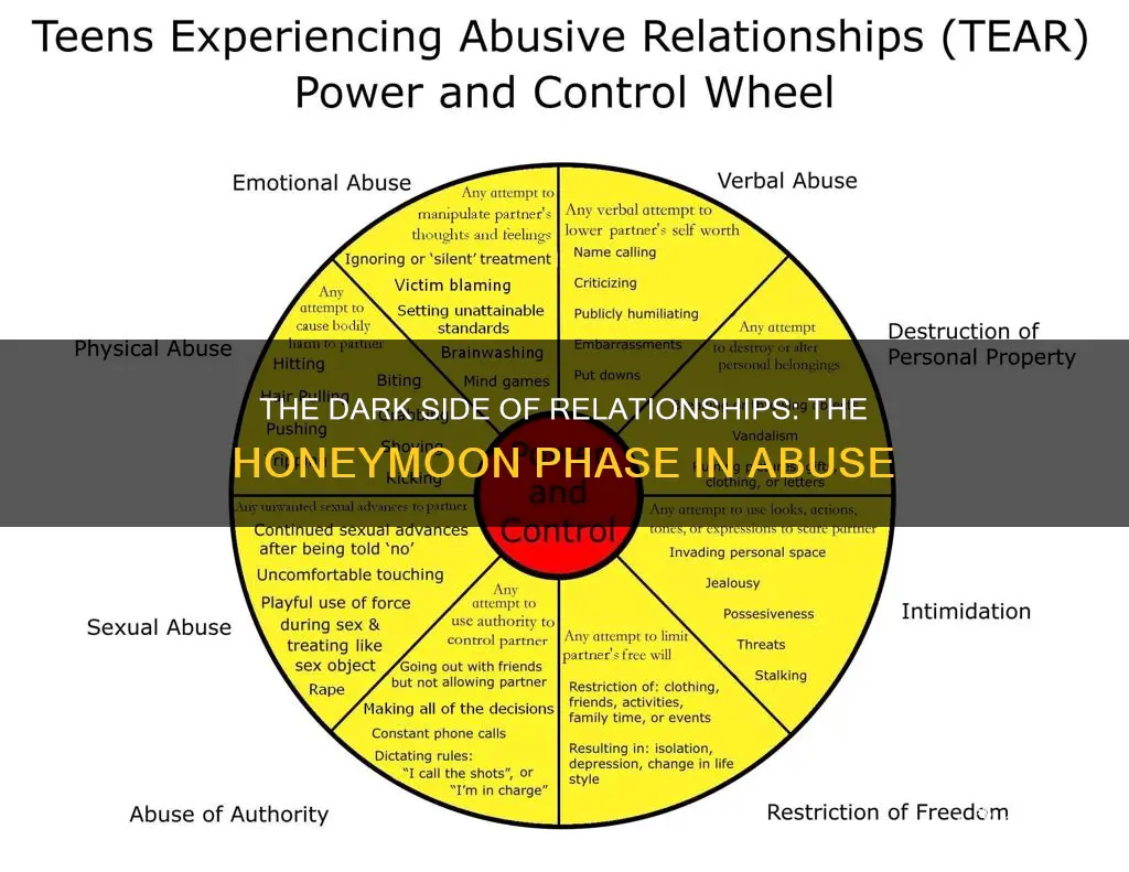 what is the honeymoon phase in abuse