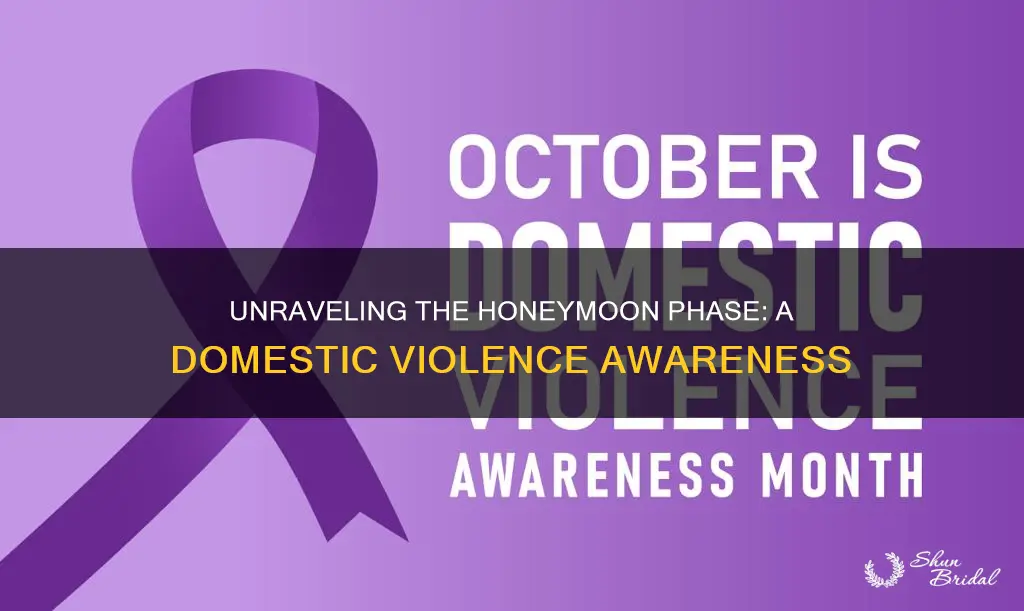 what is the honeymoon phase in domestic violence