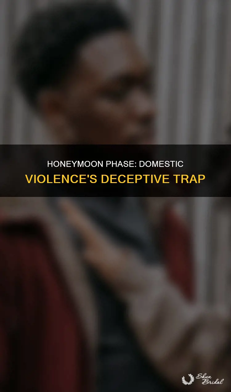 what is the honeymoon phase in domestic violence