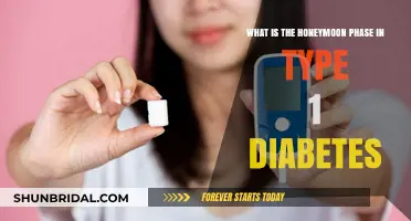 Understanding the Honeymoon Phase in Type 1 Diabetes: A Beginner's Guide