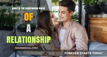 Understanding the Honeymoon Phase: Bliss, Intensity, and Relationship Beginnings