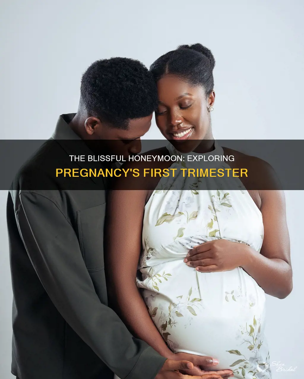 what is the honeymoon phase of pregnancy