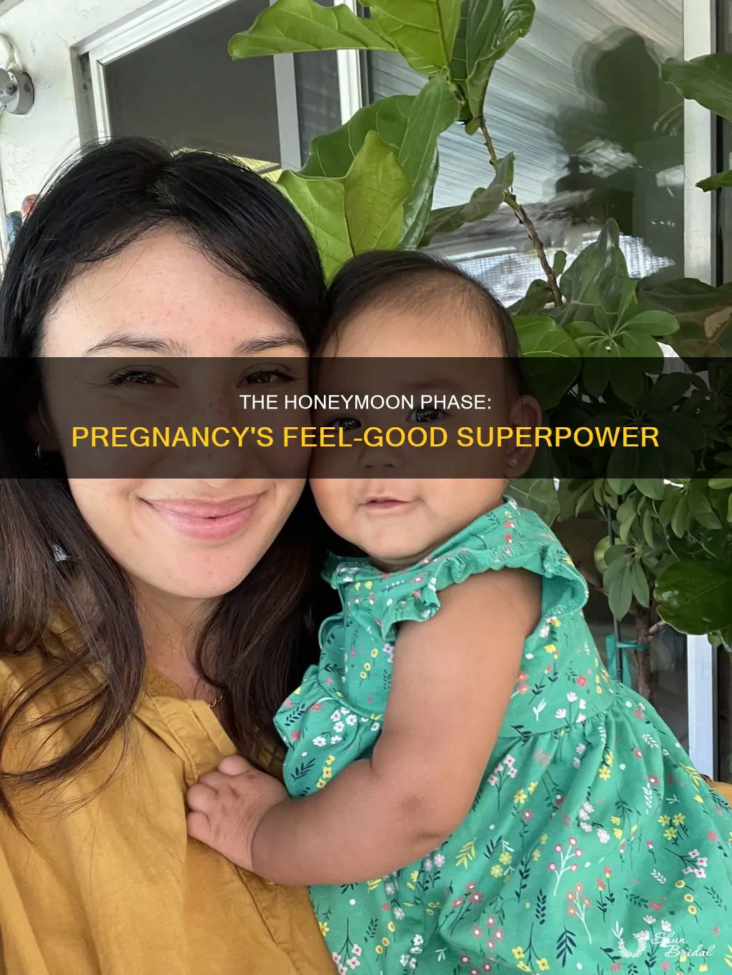 what is the honeymoon phase of pregnancy