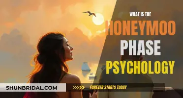 Honeymoon Phase: Understanding the Psychology of New Relationships