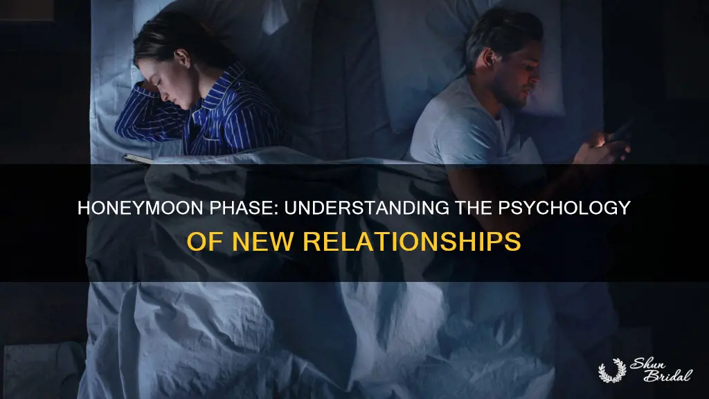 what is the honeymoon phase psychology