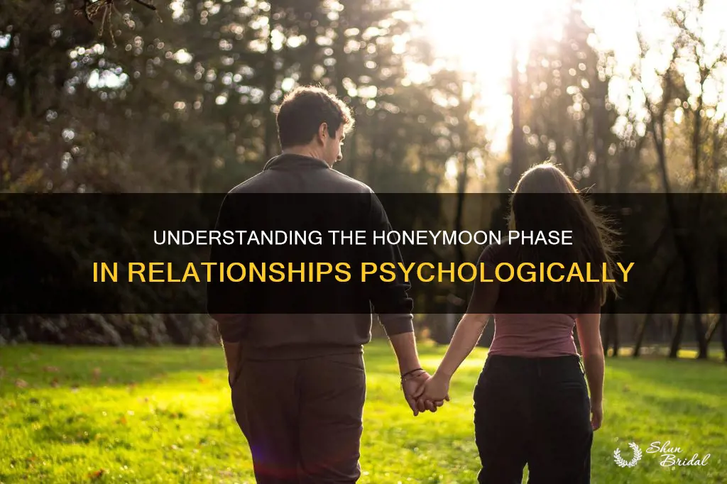 what is the honeymoon phase psychology