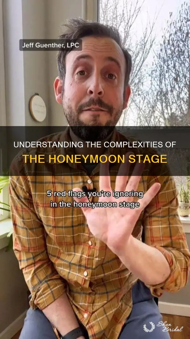 what is the honeymoon stage