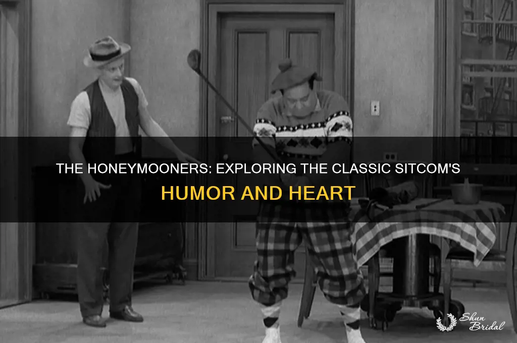 what is the honeymooners about