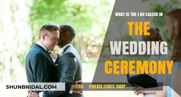 Understanding the 'I Do' Moment: Key Vow Exchange in Wedding Ceremonies
