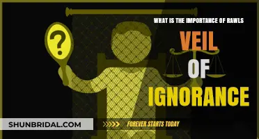 Rawls' Veil of Ignorance: Unveiling Fairness in Social Justice