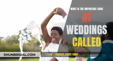 The Significance of Wedding Songs and Their Meanings