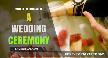 Understanding the Interlude: A Wedding Ceremony's Special Moment Explained