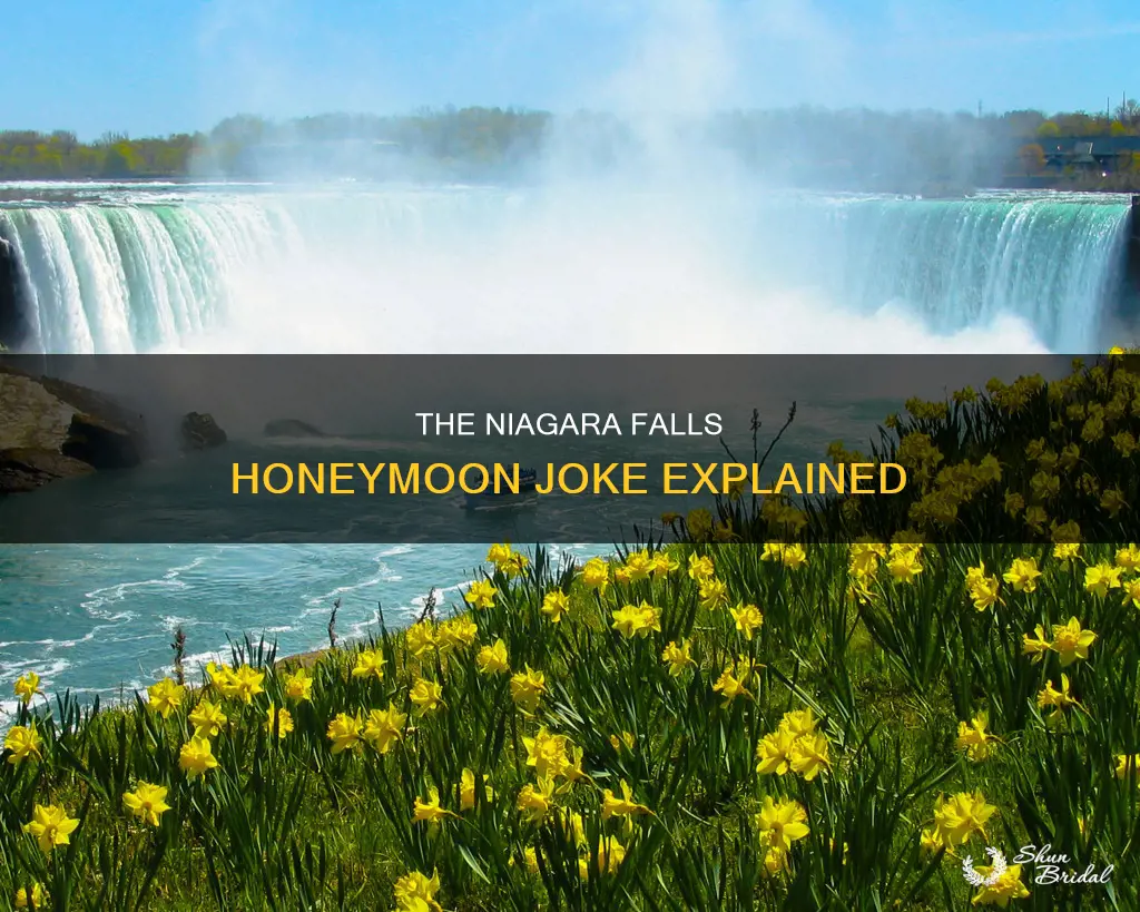 what is the joke about niagra falls and honeymoons